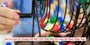 26 là con gì trong số đề tất tần tật về con số may mắn này